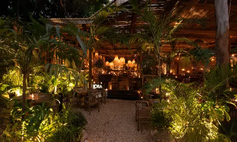 Restaurante Tora Tulum-image