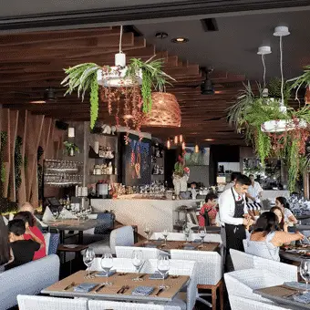 Restaurante Porfirio's Playa del Carmen-image