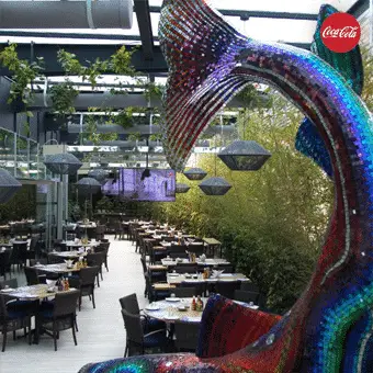 Fisher's Palmas-image