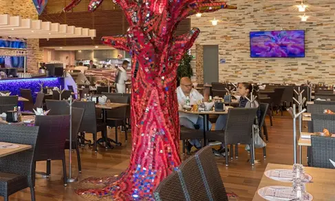 Fisher's Toluca-image