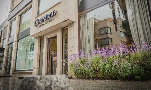 Chambao Polanco-image