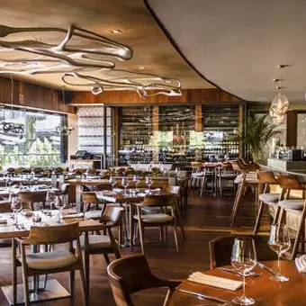 Restaurante Harry's Playa del Carmen-image