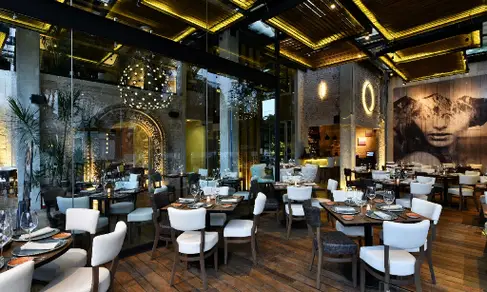 Restaurant Rosa Negra Polanco-image