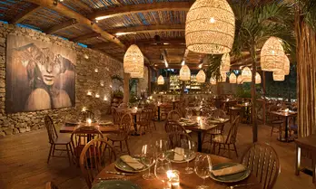 Restaurante Rosa Negra Tulum