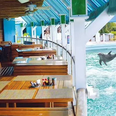 Restaurant Jugo de Limón Cancún-image