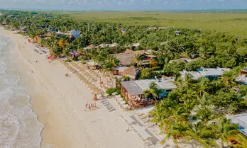 Restaurante La Zebra Tulum