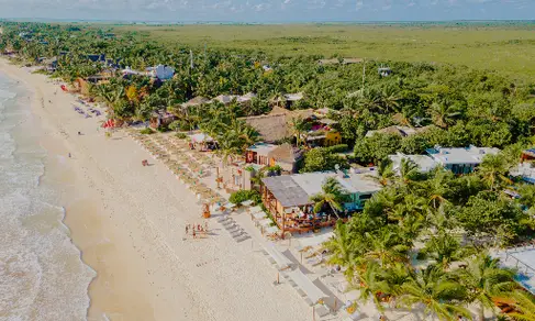 Restaurante La Zebra Tulum-image