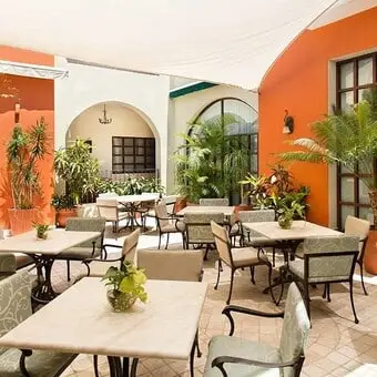 Restaurant El Jardín Café Todos Santos-image
