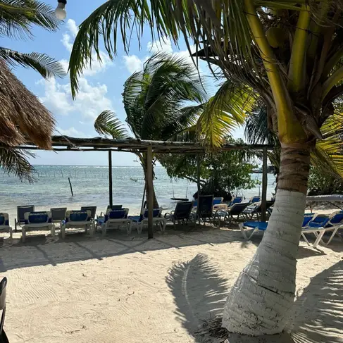 Restaurante Sulumar Mahahual-image