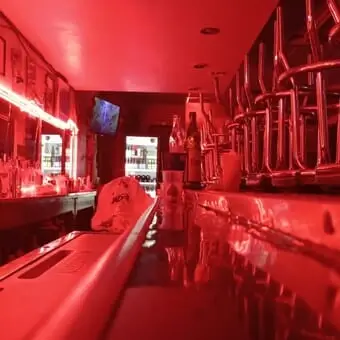 Bar Zeppelin Chihuahua-image