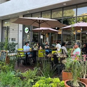 Restaurante Kiwi Brunch Guadalajara-image