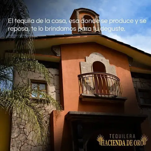 Tequilera Hacienda de Oro Amatitán-image