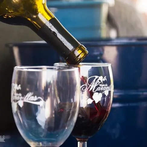 Vinícola Maravillas García-image