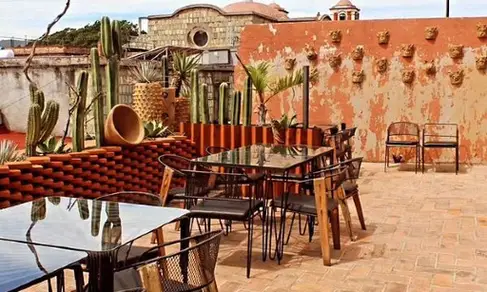Restaurante Liquen Oaxaca-image