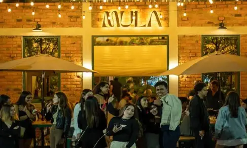 MULA TACOS NECIOS Morelia-image