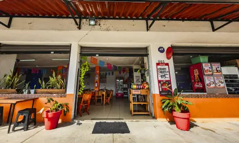 Los Muchachos de Zapopan Jardines del Vergel-image