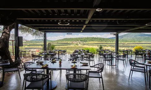 Vertical Restaurante y Bar Querétaro-image