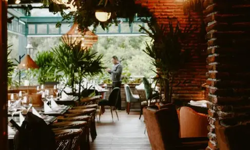 Animal Calzada-image