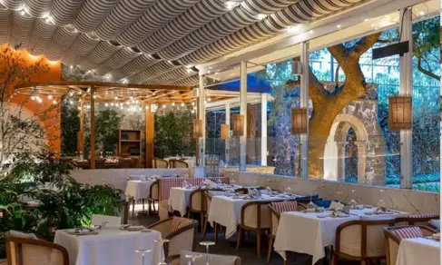 Alaia Terraza San Ángel-image