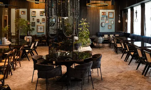 Tutto Pepe Chihuahua-image