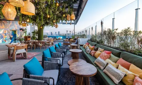 Cabuya Rooftop Condesa-image