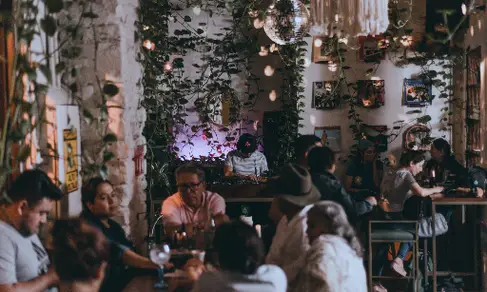 Surco Sonoro Querétaro-image