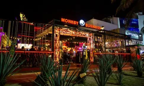 Monkey Business Cancún-image