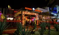 Monkey Business Cancún