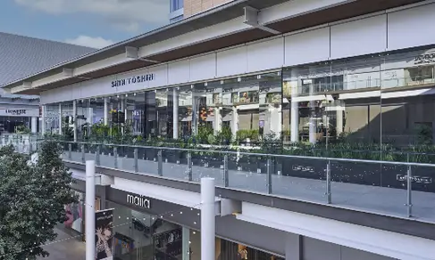 Shin Toshin Chihuahua -image