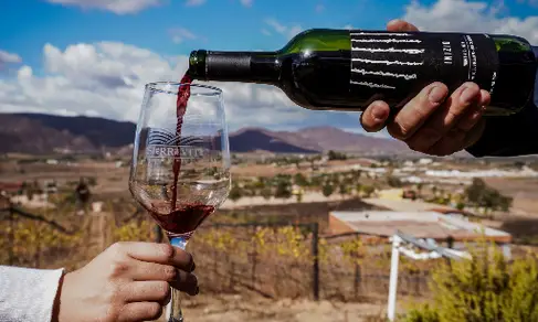 Once Pueblos Valle de Guadalupe-image