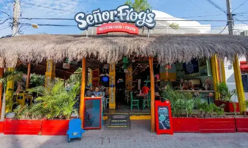 Señor Frog's Quinta Avenida-image