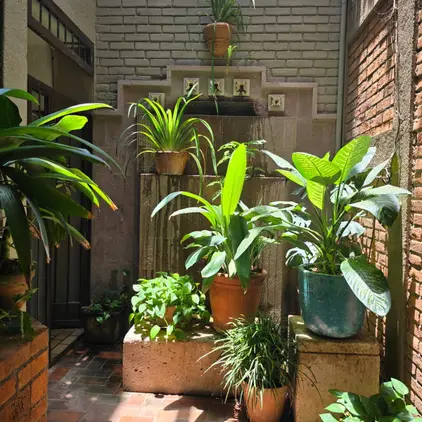 gallery