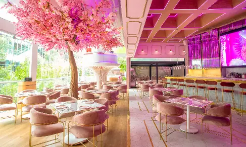 Pinky Room CDMX-image
