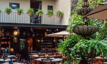 Botanero del Bosque Centro