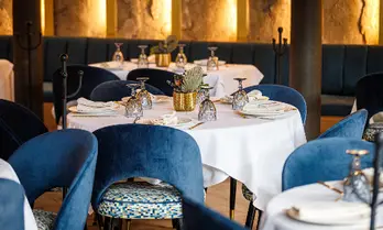 Eloise Chic Bistrot San Ángel