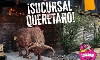 Toro Rojo Arrachería Querétaro