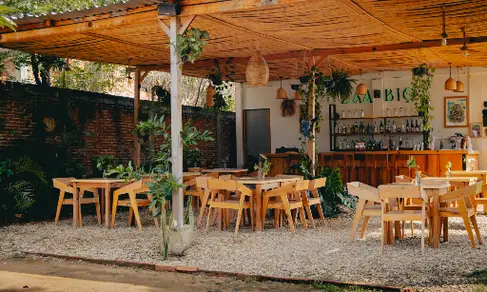 Zaabio Oaxaca-image